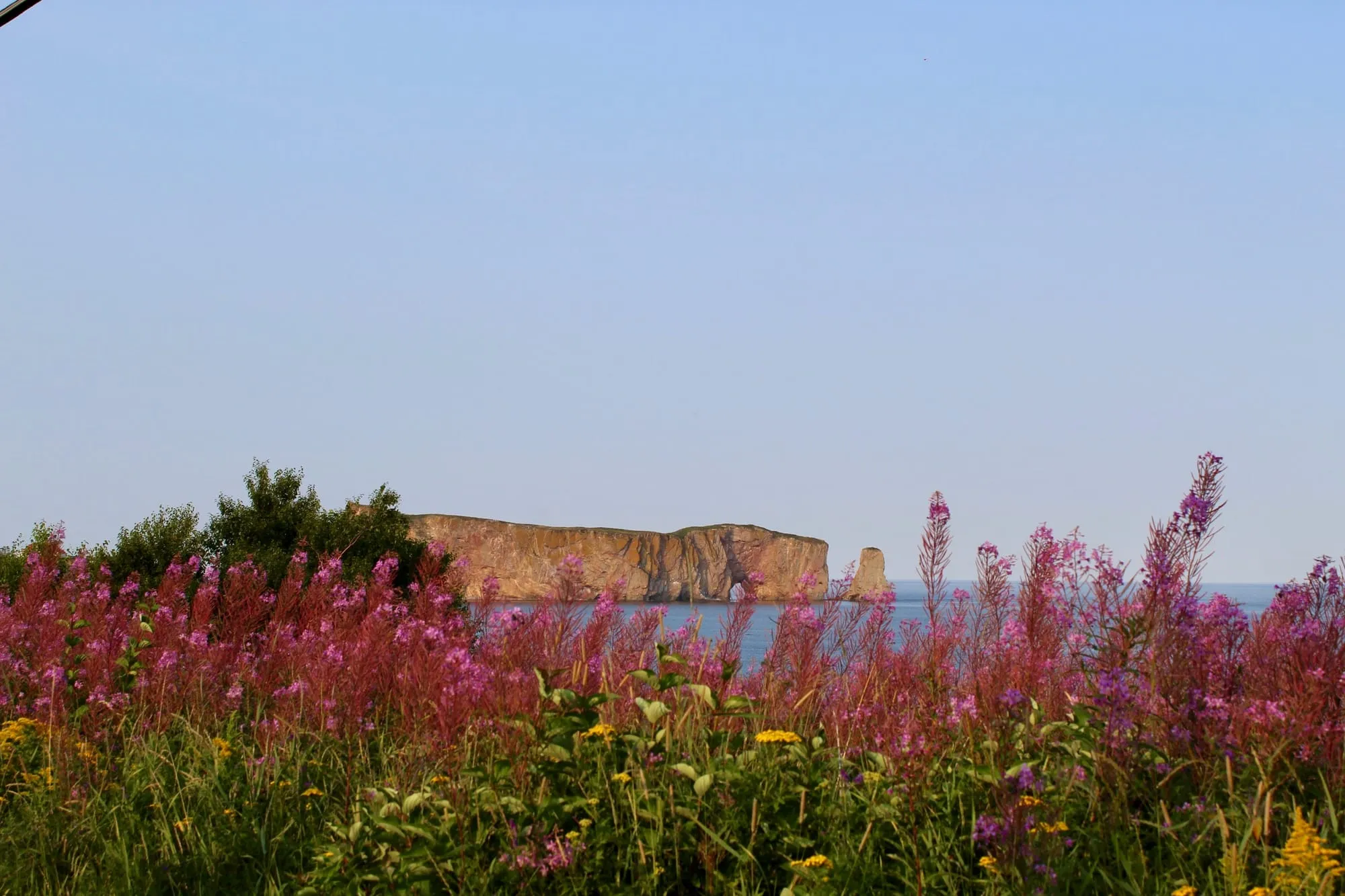 Group of Nomade health professionals gathered in a remote Quebec region